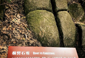 浮盖山第 66 张图片