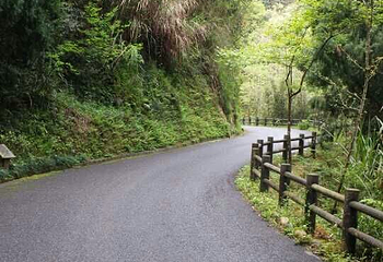 千岛湖龙川湾第 41 张图片
