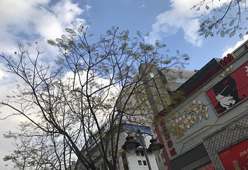 南屏步行街第 20 张图片