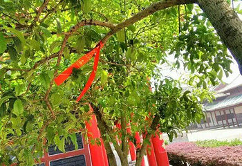 西山万寿宫第 25 张图片