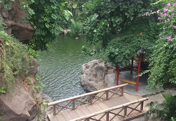 天津热带植物观光园第 21 张图片