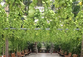 天津热带植物观光园第 20 张图片