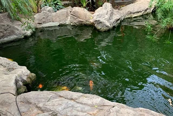 天津热带植物观光园第 19 张图片