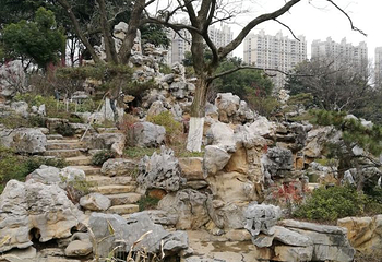 红梅公园第 41 张图片