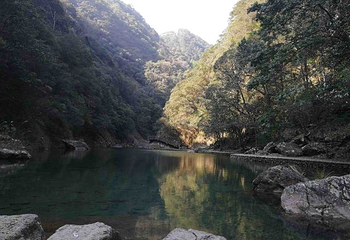 文成铜铃山森林公园景区第 49 张图片
