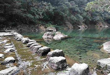 文成铜铃山森林公园景区第 48 张图片