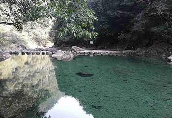文成铜铃山森林公园景区第 47 张图片