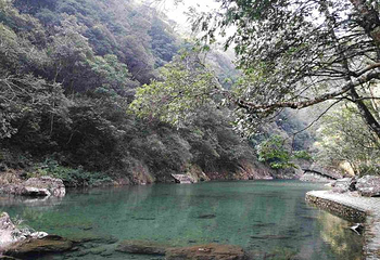 文成铜铃山森林公园景区第 45 张图片