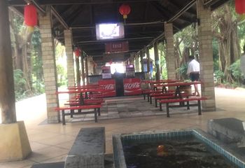 聚龙湾温泉第 45 张图片