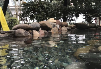 灵秀温泉第 75 张图片
