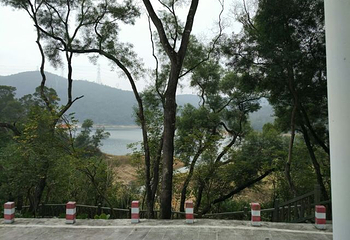天竺山森林公园第 34 张图片