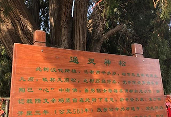 四门塔第 32 张图片