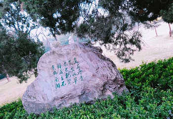 南阳卧龙岗武侯祠第 51 张图片