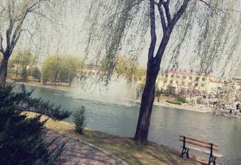 汾酒文化景区第 16 张图片