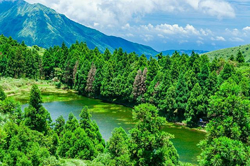 阳明山国家公园第 39 张图片