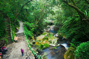 阳明山国家公园第 41 张图片