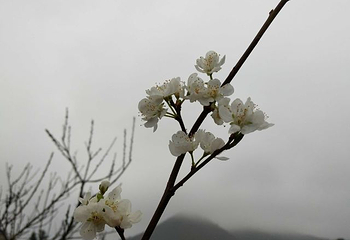汉仙岩风景名胜区第 35 张图片