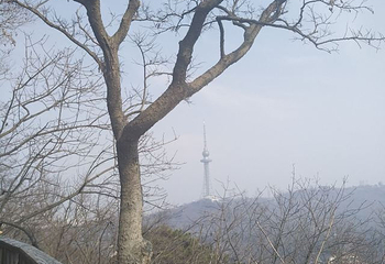 青岛山炮台遗址第 31 张图片