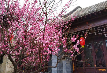 花洲书院第 27 张图片