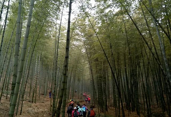 龙池山第 16 张图片