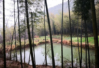 龙池山第 13 张图片