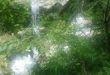 庐山石门涧风景区第 19 张图片