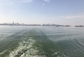 东湖游船第 65 张图片
