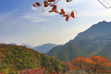 白银坨旅游风景区第 28 张图片