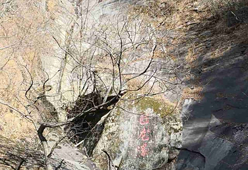 南召大宝天曼度假区第 49 张图片