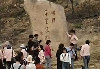 温州樱花园第 4 张图片