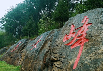 五女峰国家森林公园第 14 张图片