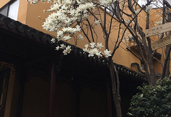 龙华寺第 36 张图片