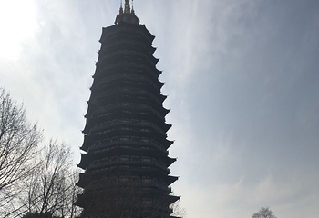 红梅公园第 40 张图片