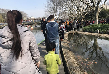 红梅公园第 37 张图片