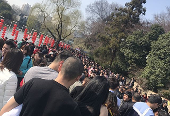 红梅公园第 36 张图片