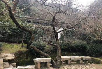 紫金庵第 22 张图片