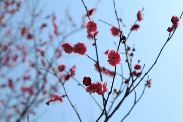 天津水上公园第 18 张图片