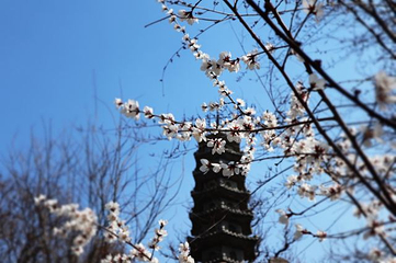 天津水上公园第 15 张图片