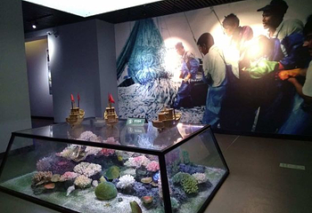 望海楼第 49 张图片