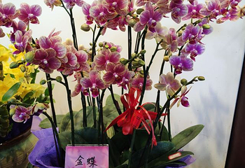 钱王陵第 18 张图片