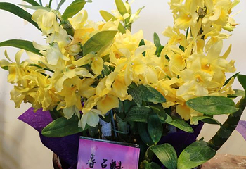 钱王陵第 17 张图片