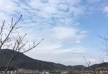 桃花岛风景区第 33 张图片