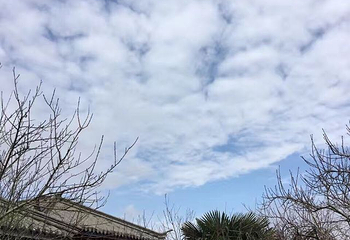 桃花岛风景区第 32 张图片