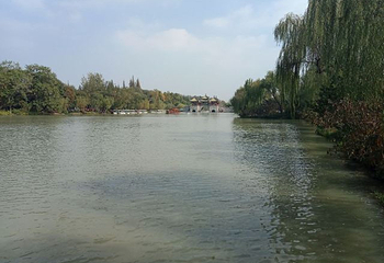 莫愁湖公园第 65 张图片