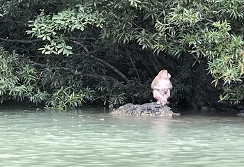 广西龙虎山风景区第 46 张图片