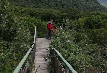 吊水壶风景区第 12 张图片
