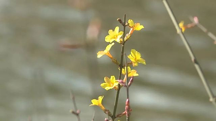 钟鼓楼第 79 张图片