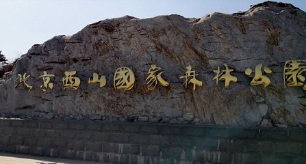 北京西山国家森林公园第 81 张图片