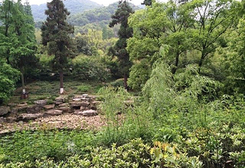 超山风景名胜区第 49 张图片