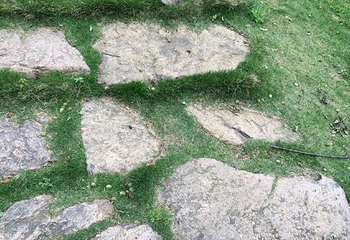 超山风景名胜区第 48 张图片